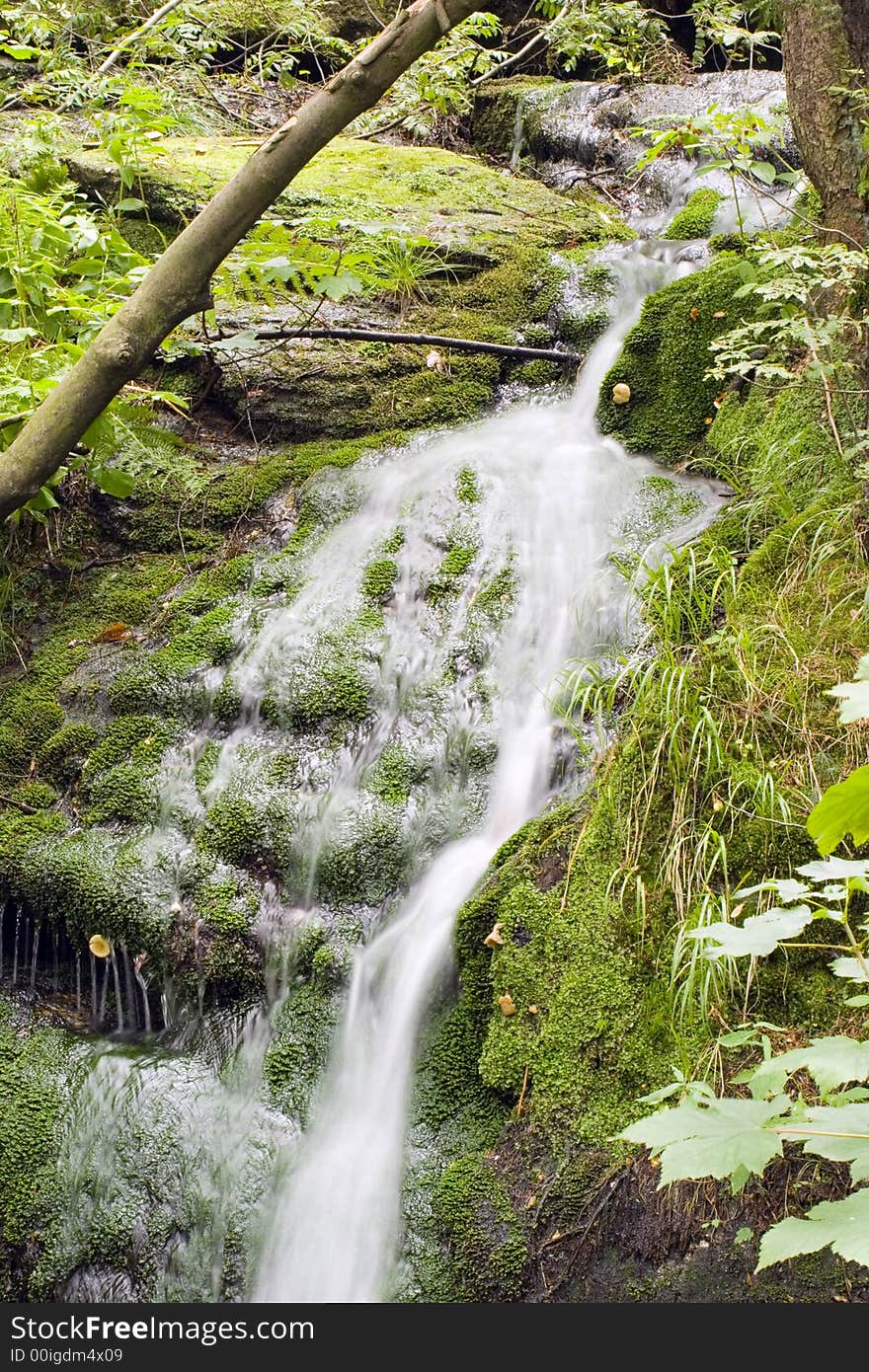 A little stream in the mountain forest. A little stream in the mountain forest