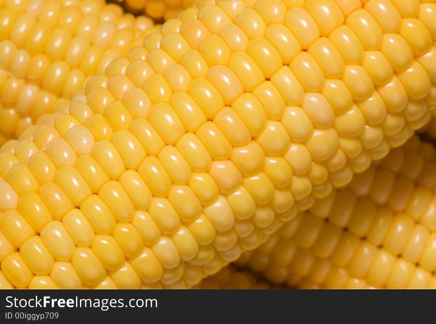 Corn Background