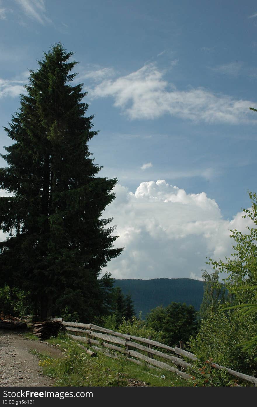 Beautiful lanscape from Transilvania, Romania and Dracula's Castel. Beautiful lanscape from Transilvania, Romania and Dracula's Castel