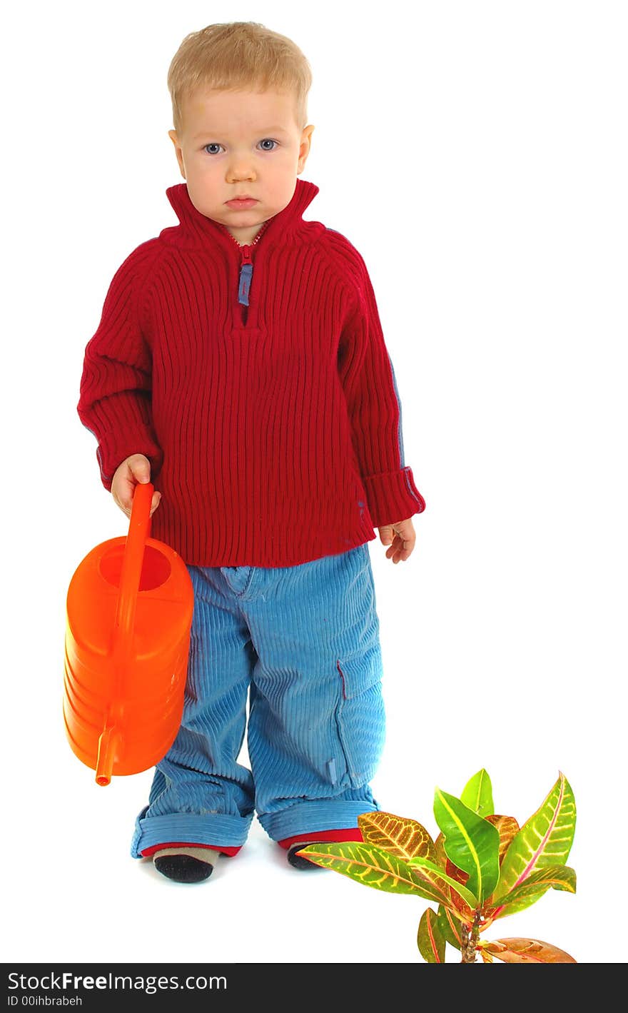 Boy watering the flower. white background. Boy watering the flower. white background