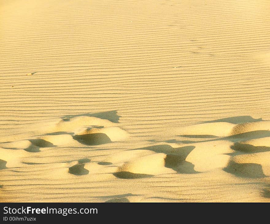 Sand dunes, the 
 Lagoon , Lithuania