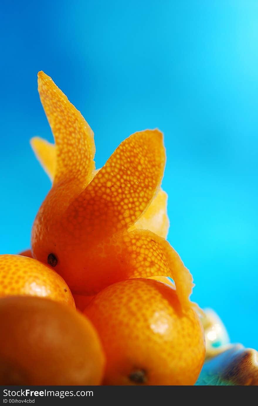 Delicious fresh citrus fruit on blue background