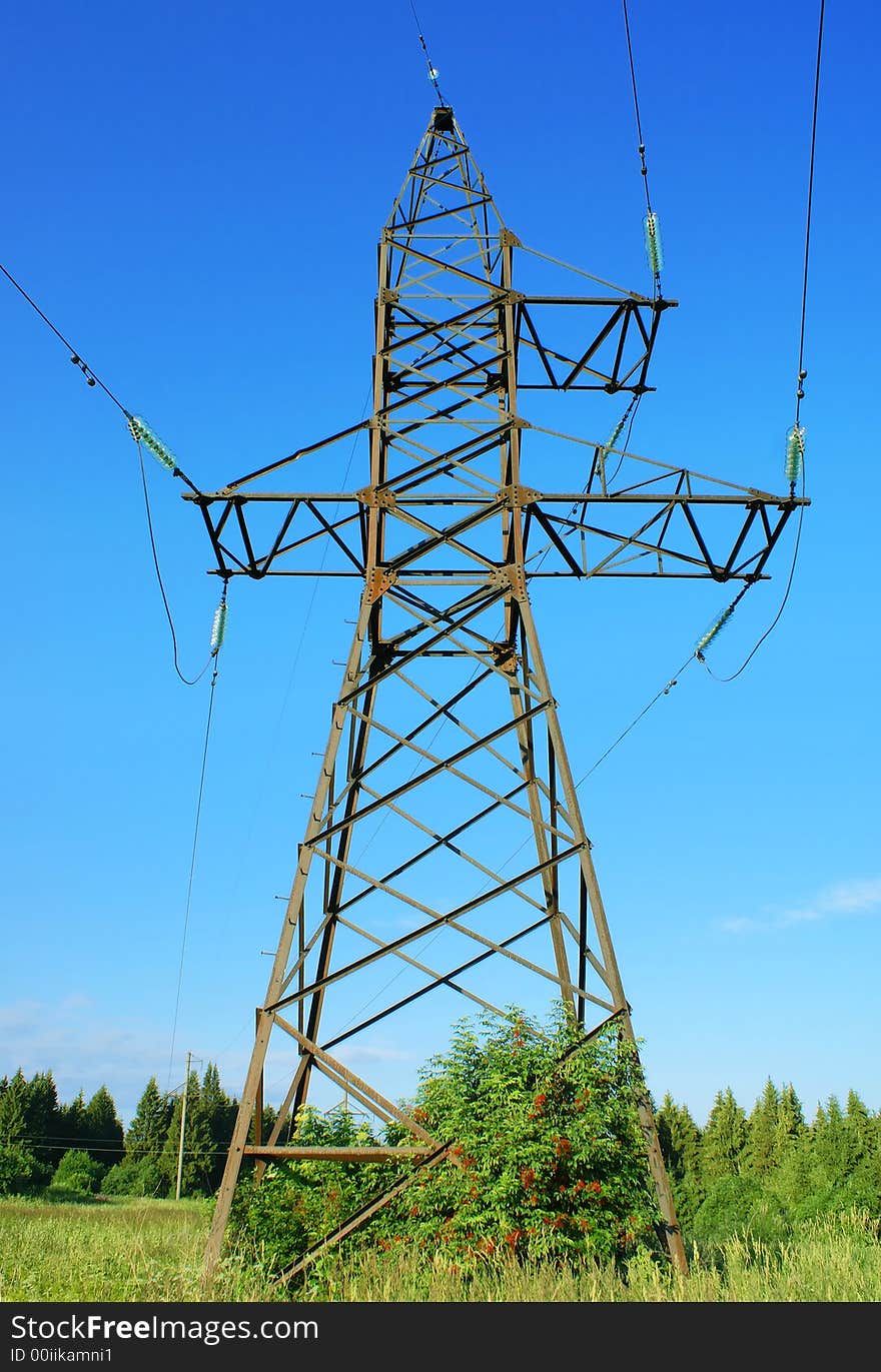 A metal support of a high-voltage line on a background of the bright blue sky. A bush of a red elder; a dark fir forest. A metal support of a high-voltage line on a background of the bright blue sky. A bush of a red elder; a dark fir forest.