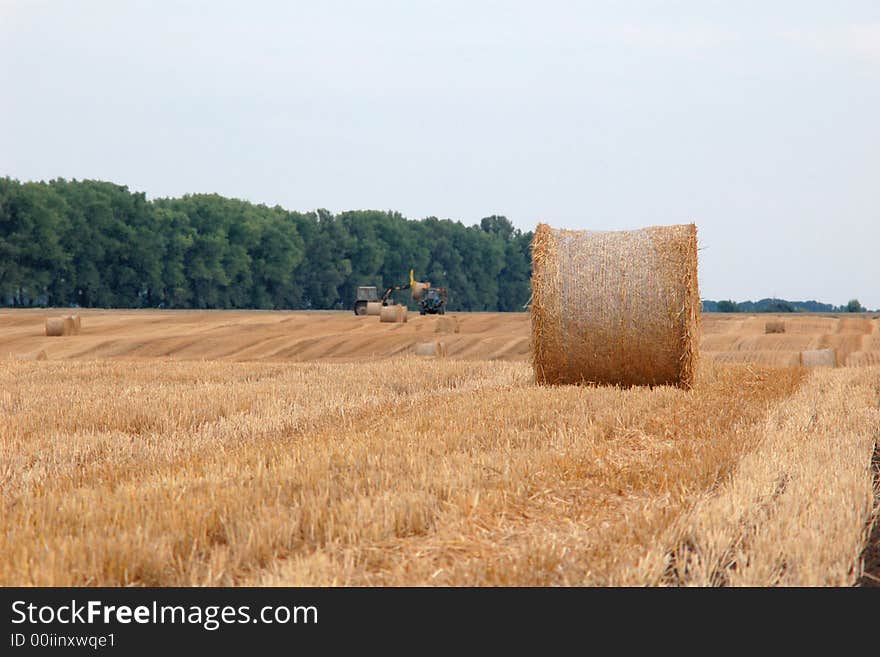 An image of roll of straw on the field. An image of roll of straw on the field