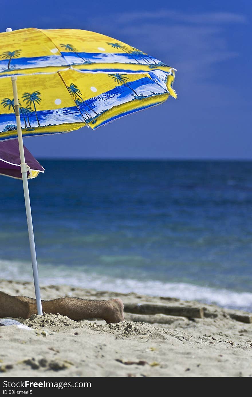 Colorful Umbrella On A Sunny Beach