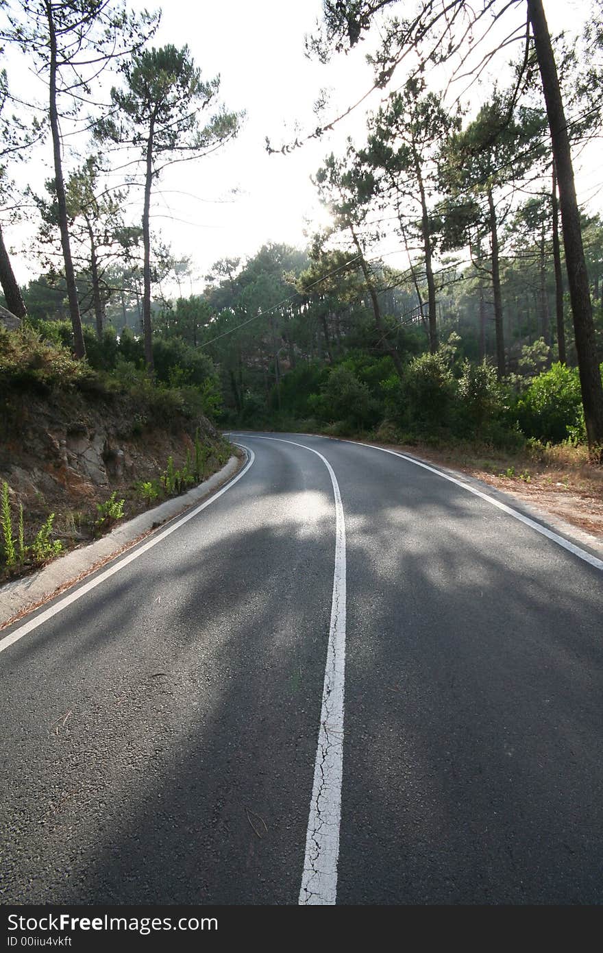 Forest Road at Sintra Portugal