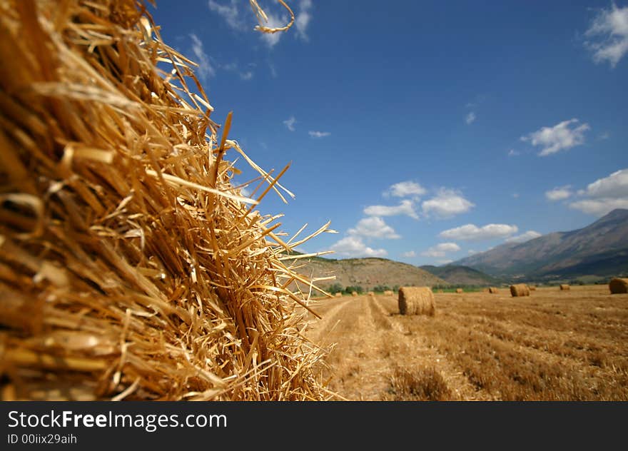 Wide view of a field after the wheat harvest with out of focus and distorted roll . Wide view of a field after the wheat harvest with out of focus and distorted roll