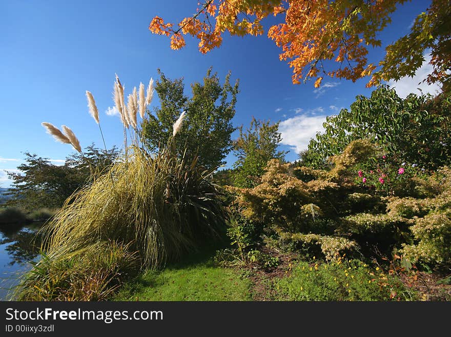 Colorful Garden