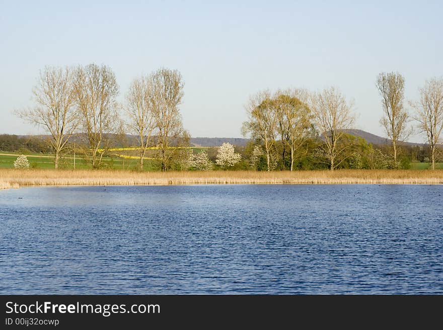 A small bavarian lake in spring. A small bavarian lake in spring