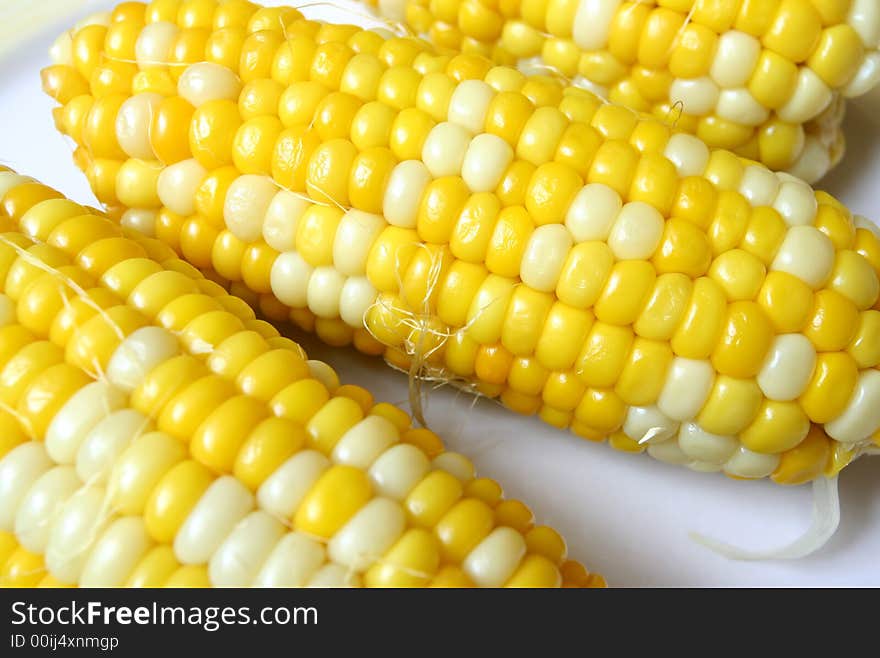 Detailed corn cobs on white