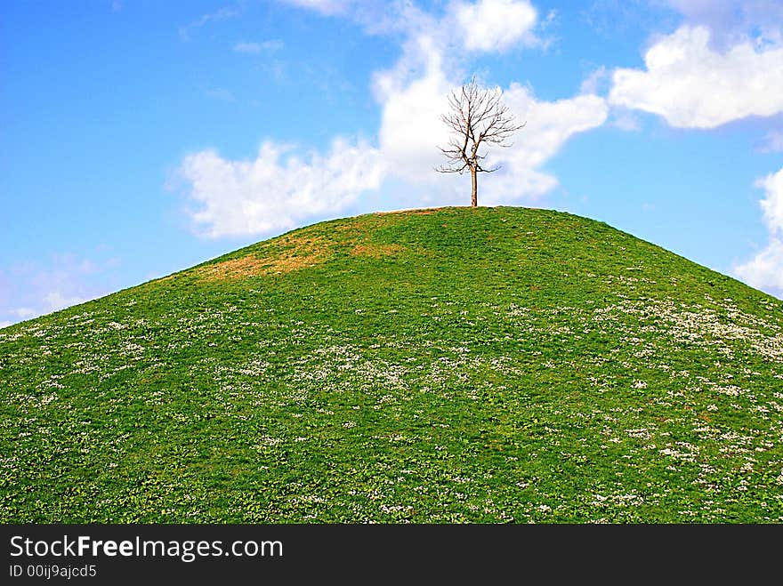 Lonley tree on the top of a hill. Lonley tree on the top of a hill