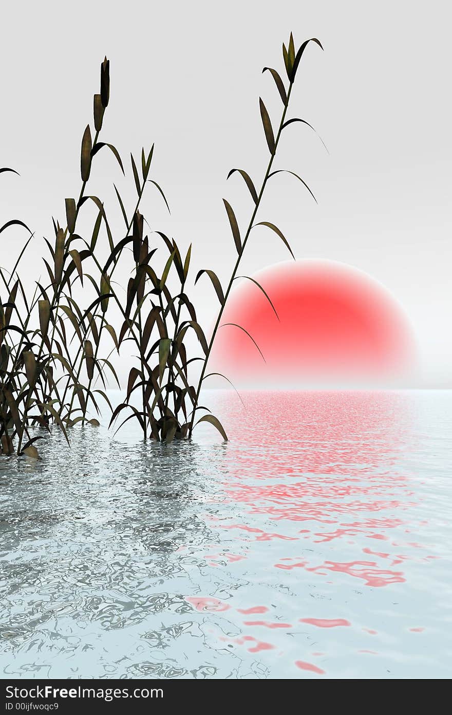 Water plants on a sea sunset background - 3D scene. Water plants on a sea sunset background - 3D scene.