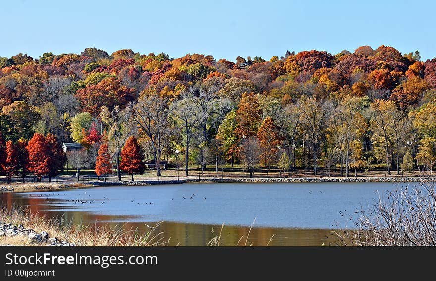 Autumn trees with colorful leaves by a lake