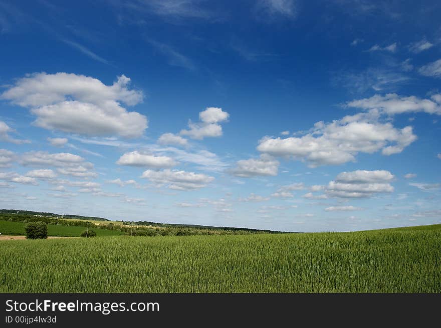 Landscape A Field Of A Cloud