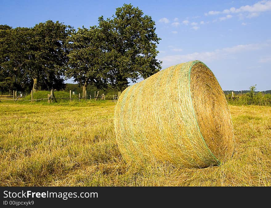 A big straw role on a corn field after harvest in summer