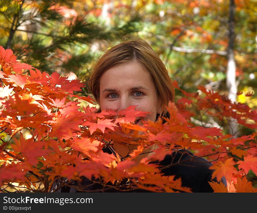 Autumn fall view with happy woman in maple leaves tree. Autumn fall view with happy woman in maple leaves tree