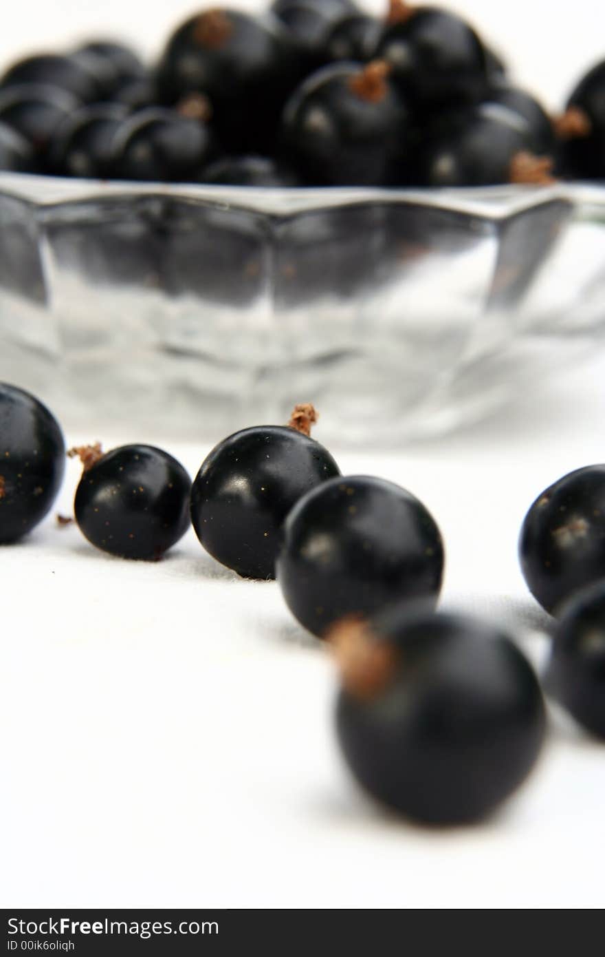 Currants Isolated in White