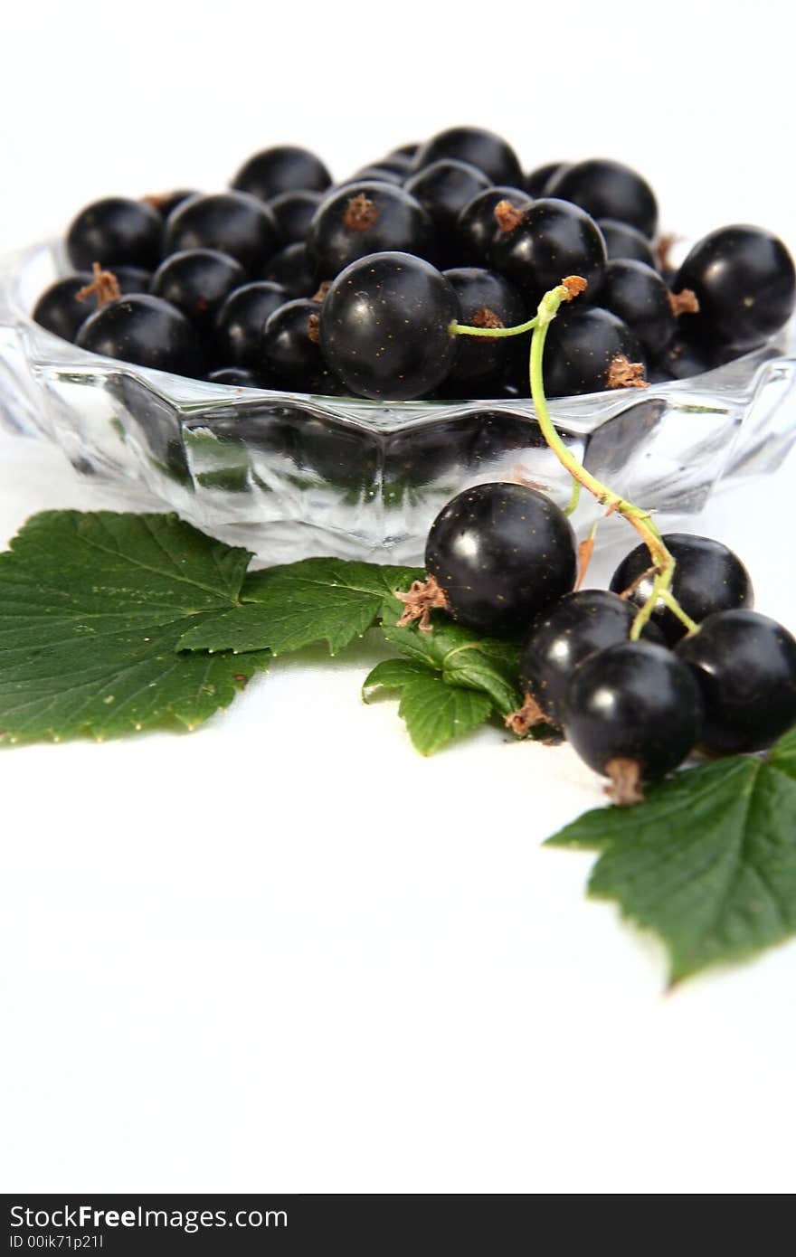 Currants Isolated in White