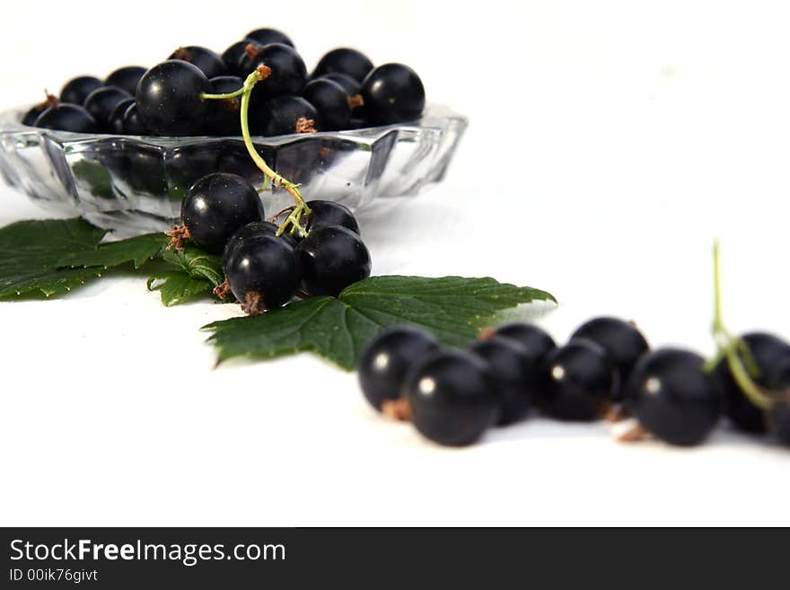 Currants Isolated in White