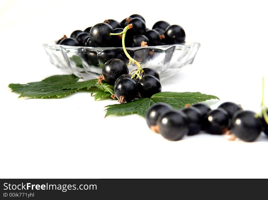 Currants Isolated in White