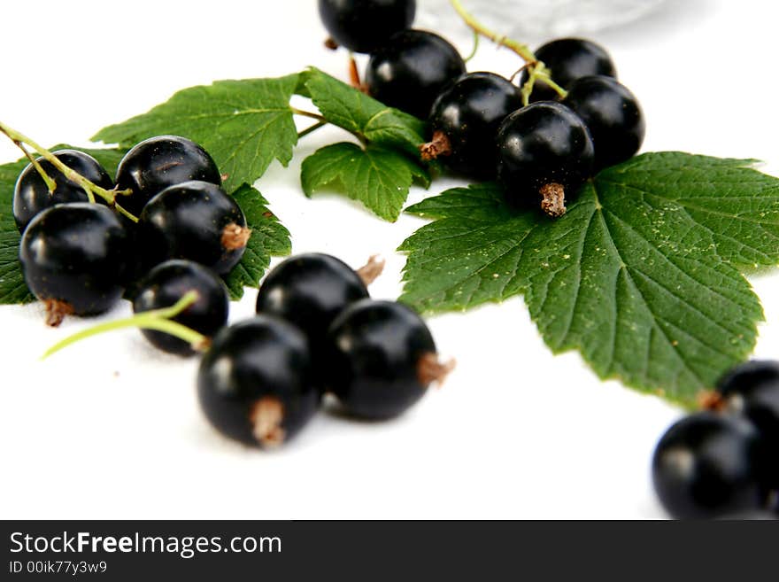 Currants Isolated in White background