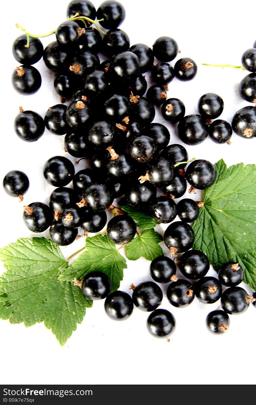 Currants Isolated In White