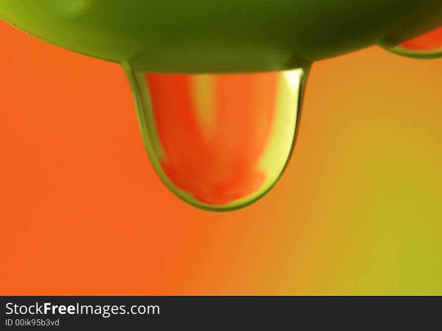 Water droplet and green plants