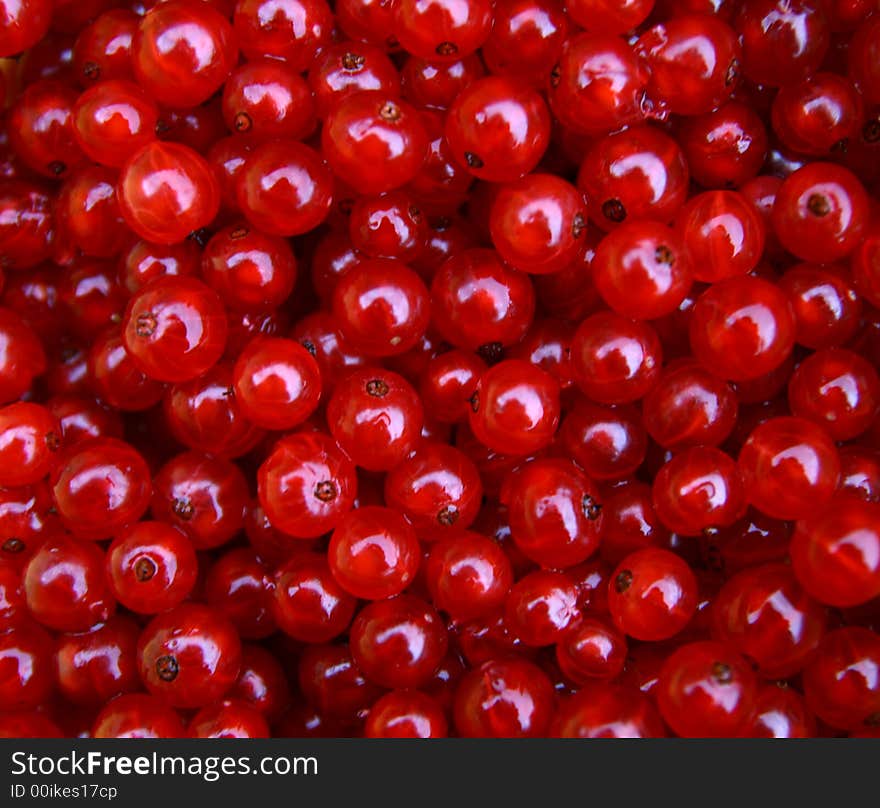 Red currants