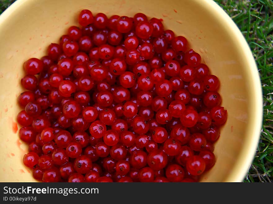 Red currants