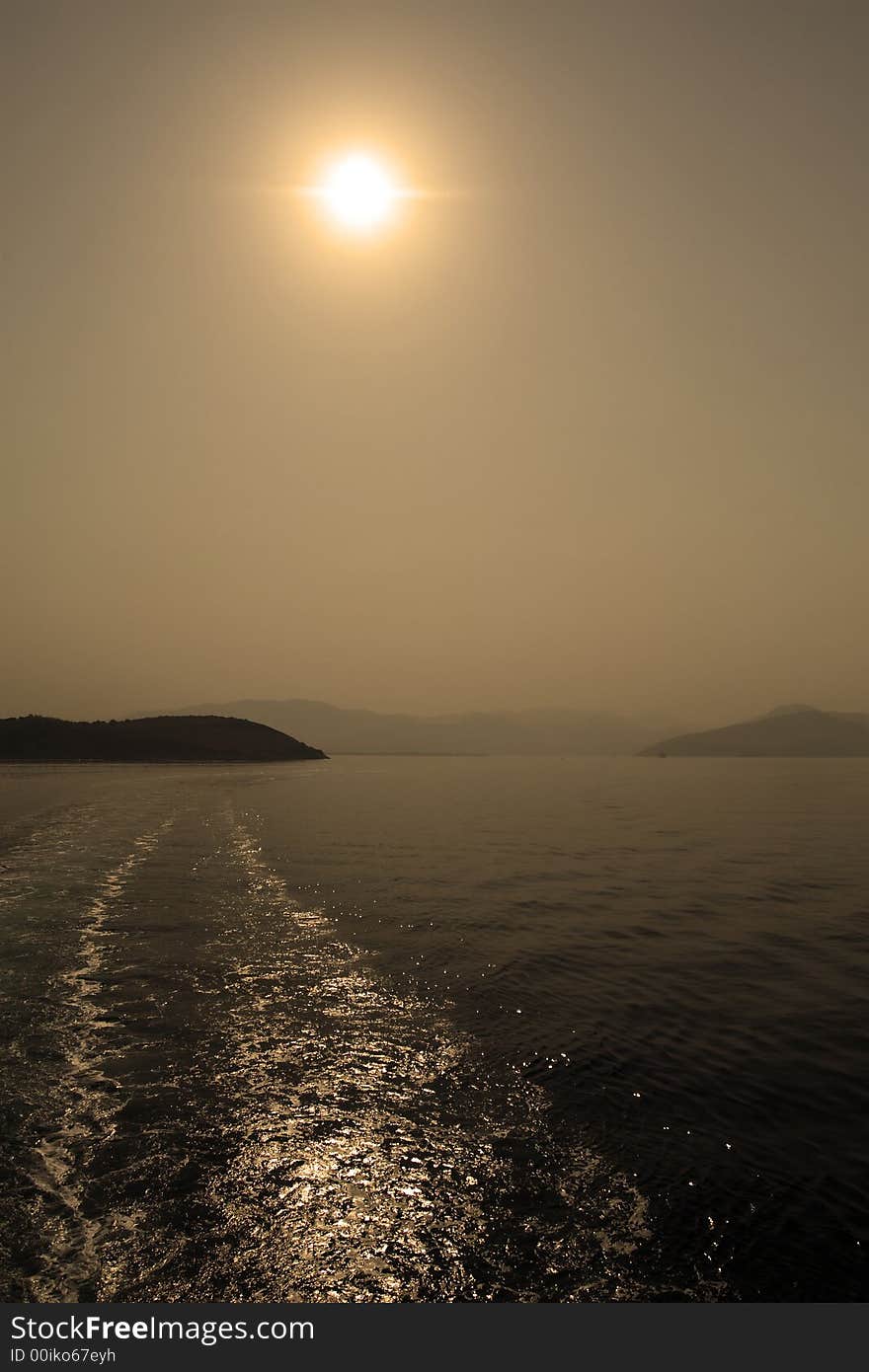 Sepia sea