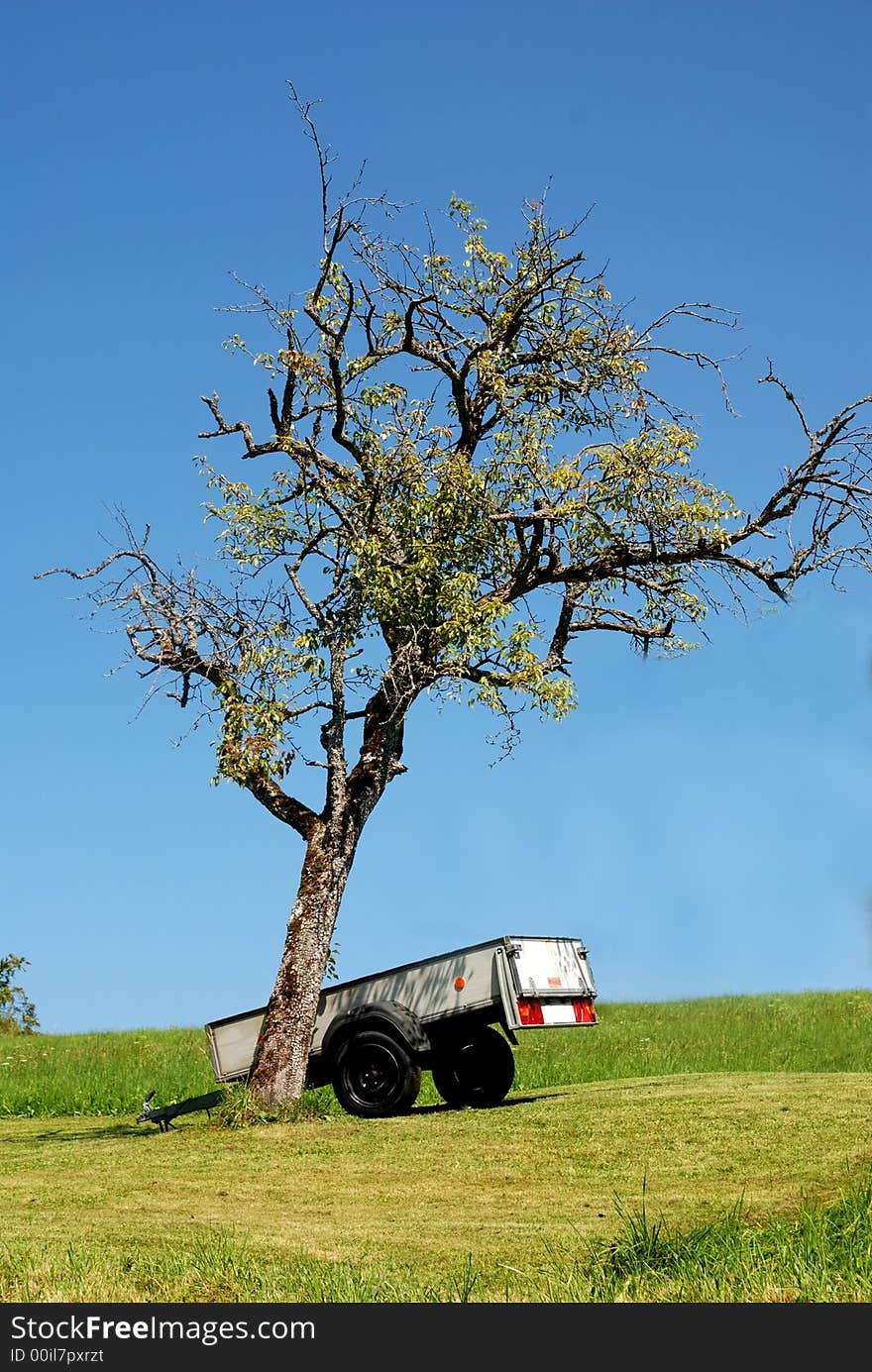 Lonley tree on the top of a hill with tumbril next to it. The lonley devotee, but loyal like a tree