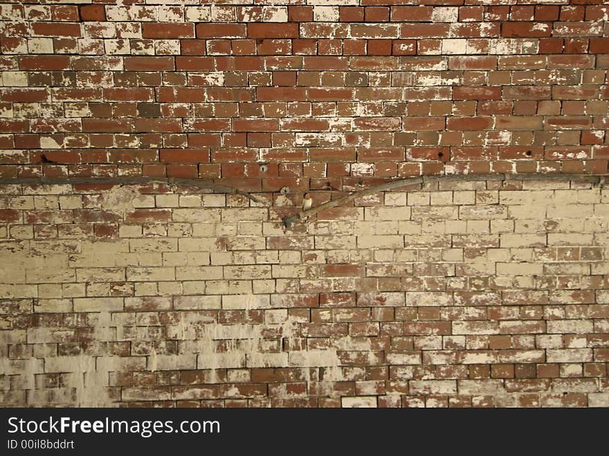 Brick Wall with Bird