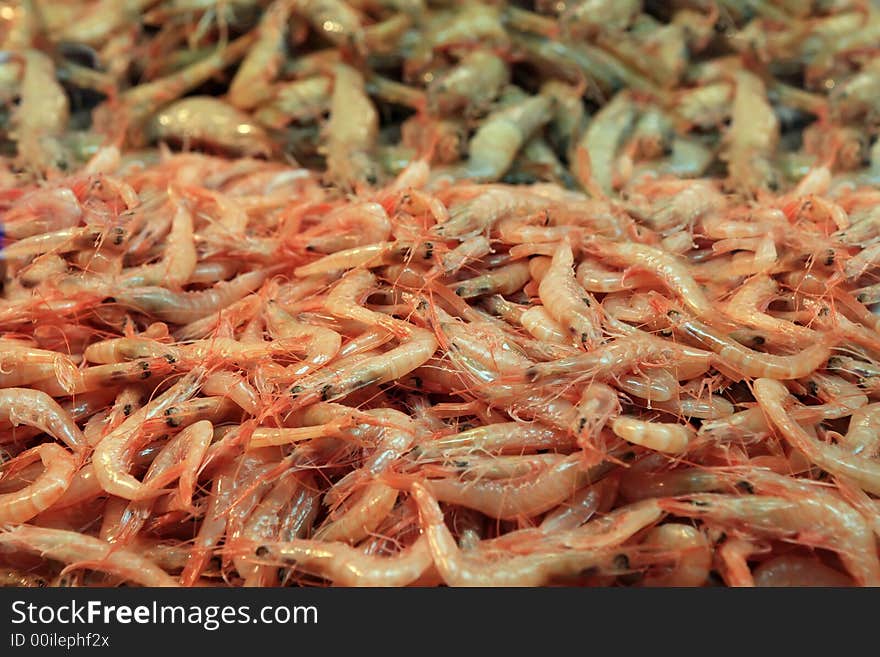 Two types of prawn on a fishmonger market. Two types of prawn on a fishmonger market