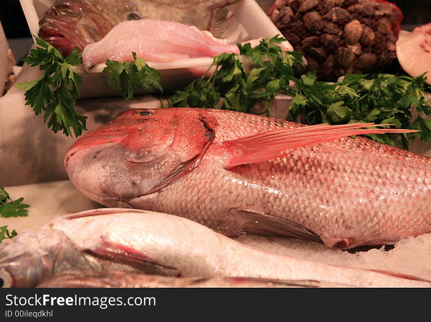 Some types of fresh fish with gilthead beam over ice