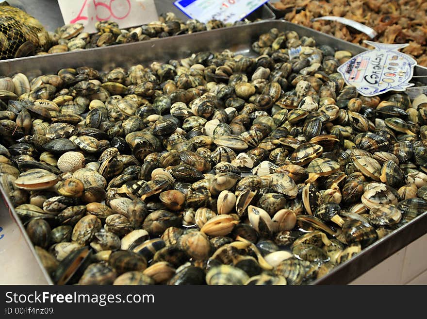 Fresh type of clam in the fishermonger market ready for sell. Fresh type of clam in the fishermonger market ready for sell