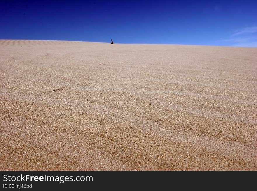 Sand dunes in the beach of baja