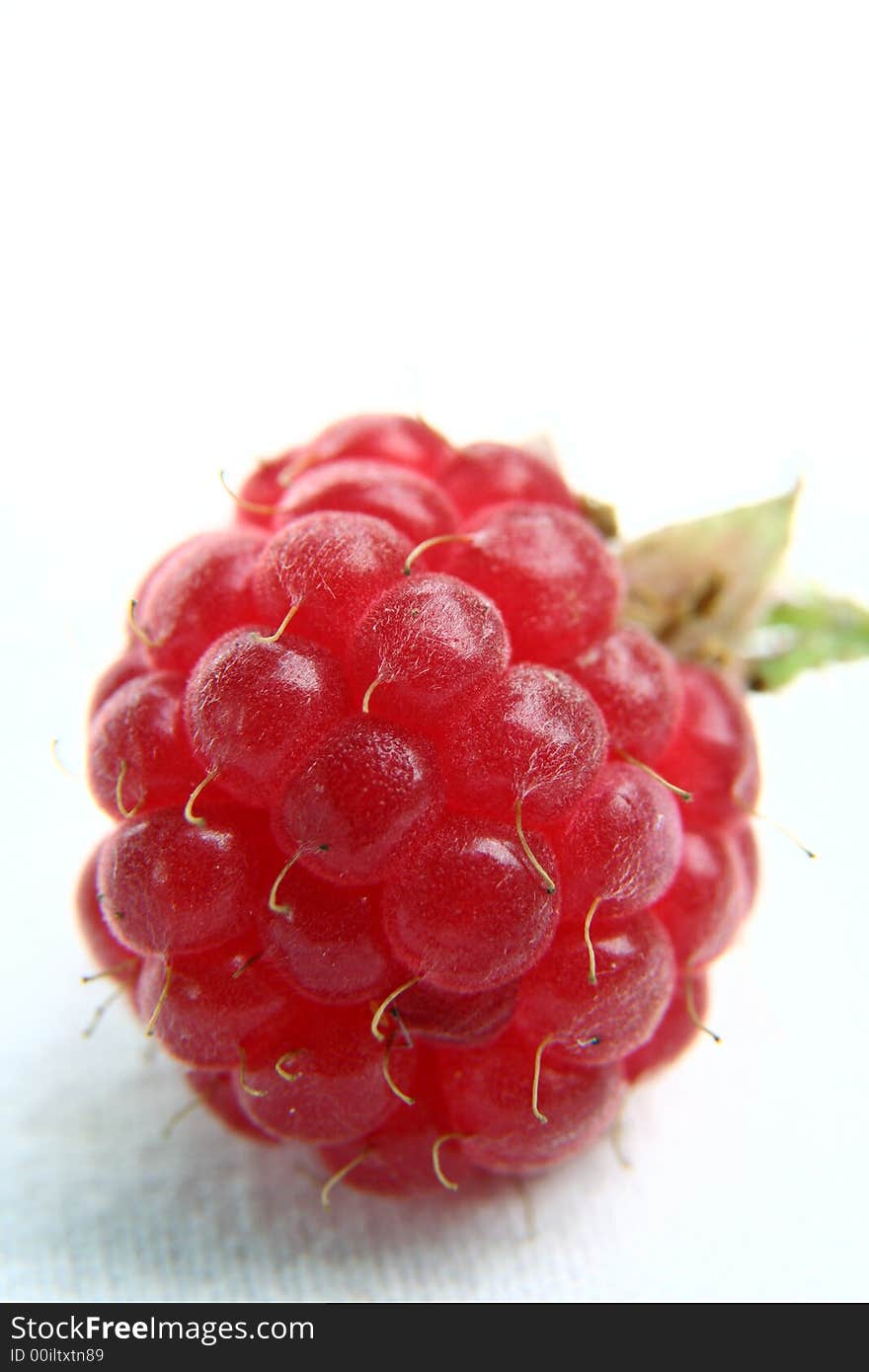 Raspberry isolated in White Background