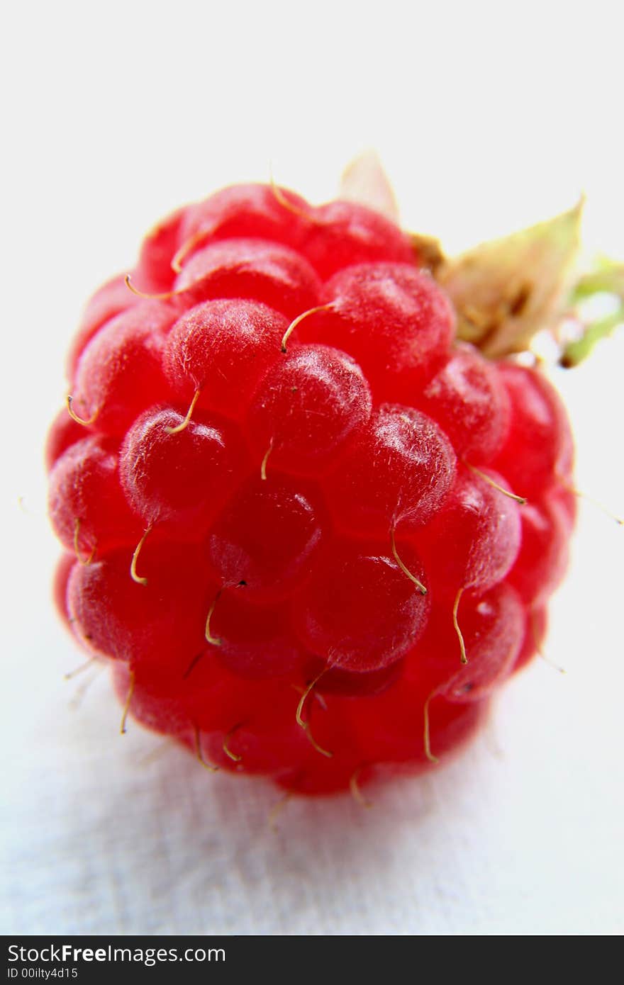 Raspberry isolated in White Background