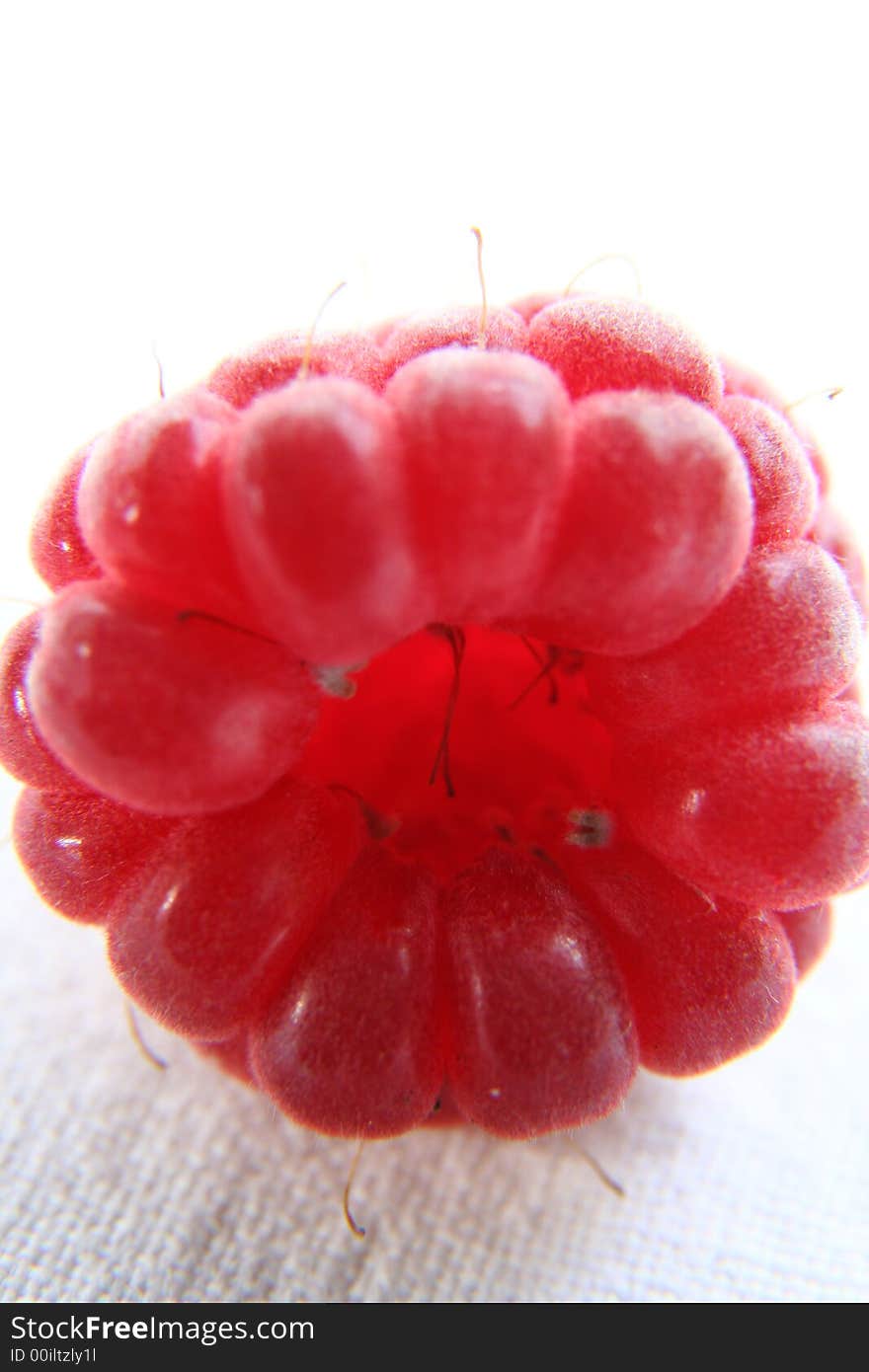 Raspberry isolated in White Background