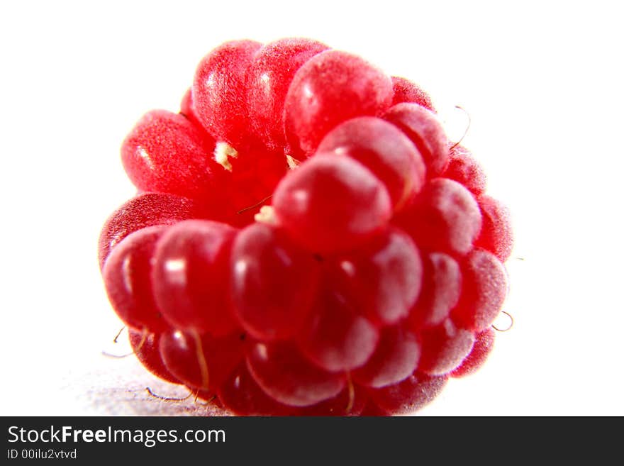 Raspberry isolated in White Background