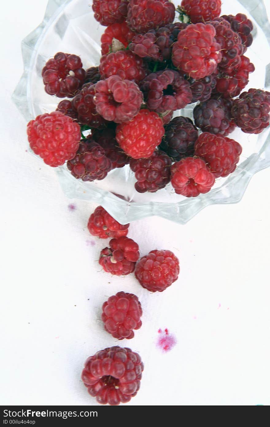 Raspberry isolated in White Background