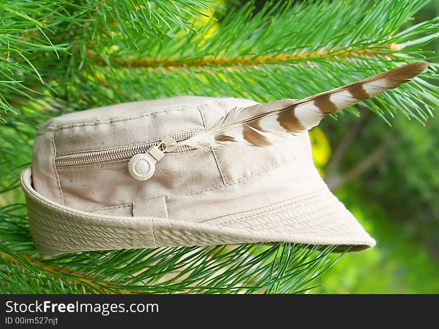 The hat of the hunter with a feather of an owl, was conveniently placed on a branch of a young pine. The hat of the hunter with a feather of an owl, was conveniently placed on a branch of a young pine.