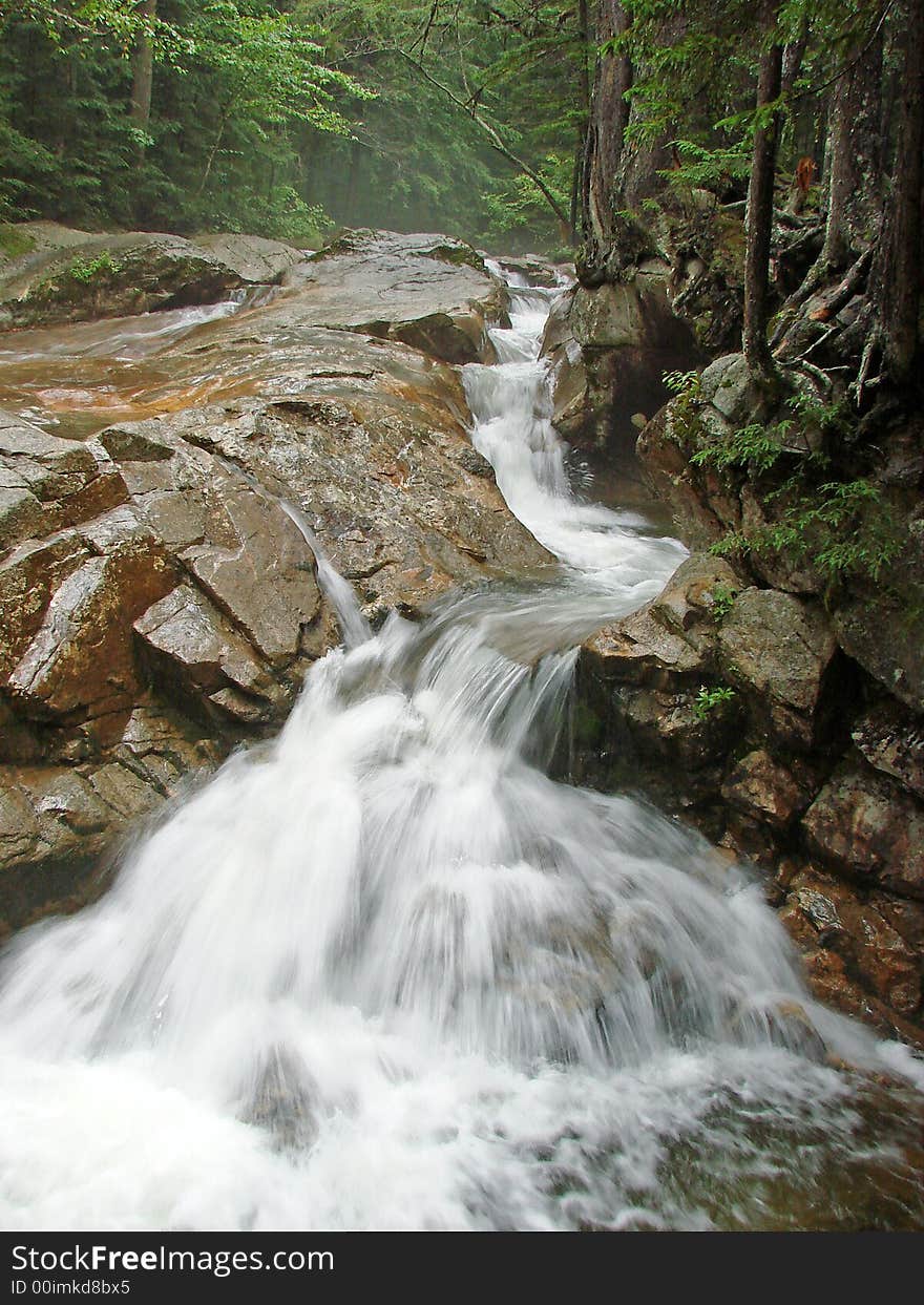 A cascade flows through a misty rain forest. A cascade flows through a misty rain forest