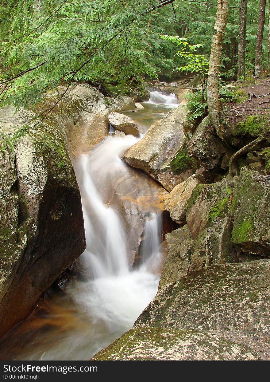 A cascade flows through a misty rain forest. A cascade flows through a misty rain forest