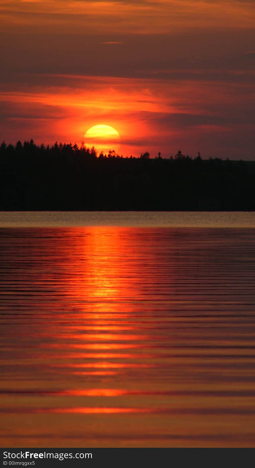 Picturesque red sunset silhouetting forest on coastline with lake or water in background. Picturesque red sunset silhouetting forest on coastline with lake or water in background.