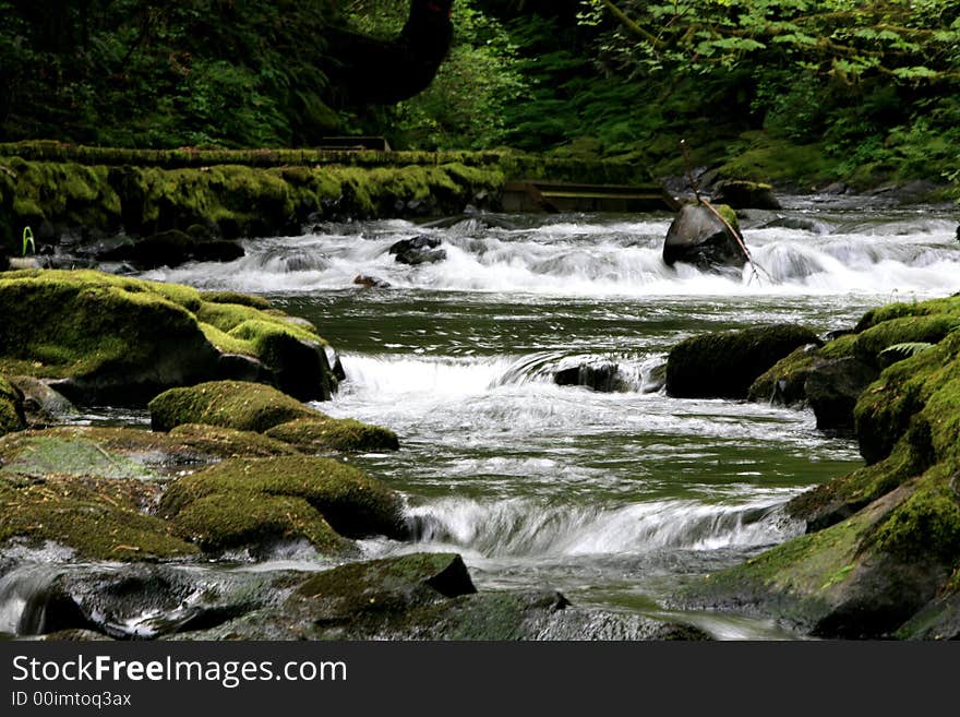 Located in the foothills of the Oregon Cascade Mountains this creek drives a vintage Grist Mill producing fine flour. Located in the foothills of the Oregon Cascade Mountains this creek drives a vintage Grist Mill producing fine flour