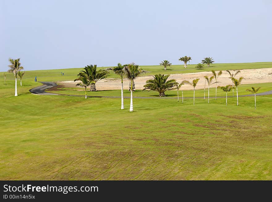 Palms on golf course