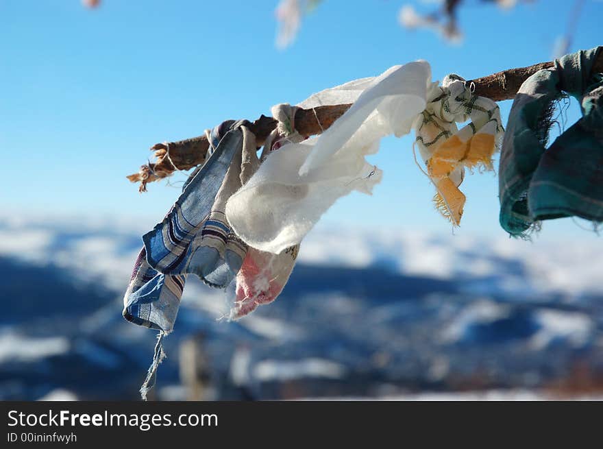 Three branck in winter with cloths 2. Three branck in winter with cloths 2