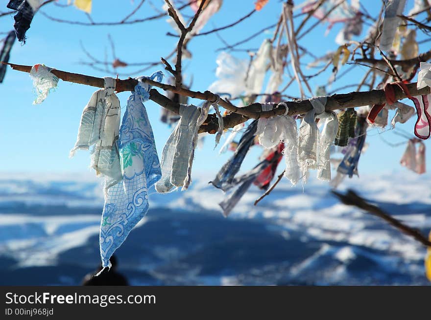 Three branck in winter with cloths. Three branck in winter with cloths