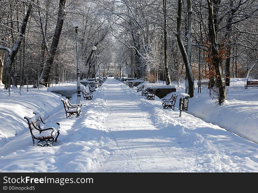 Park alley with red benches covered with snow. Park alley with red benches covered with snow